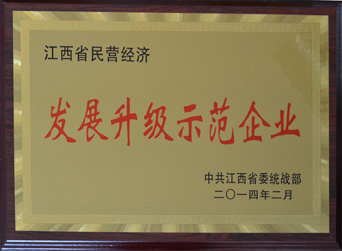 仁和集團(tuán)榮膺“江西省民營經(jīng)濟(jì)發(fā)展升級示范企業(yè)”